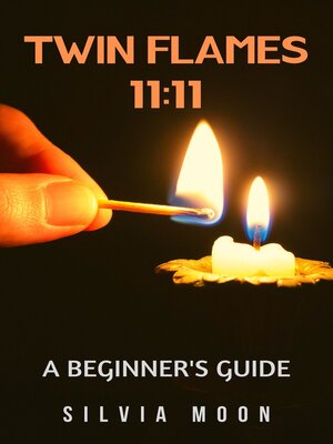 cover image of Twin Flames 11